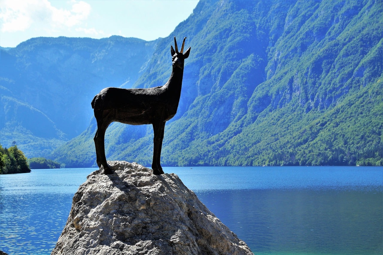 Bohinj Slovenia