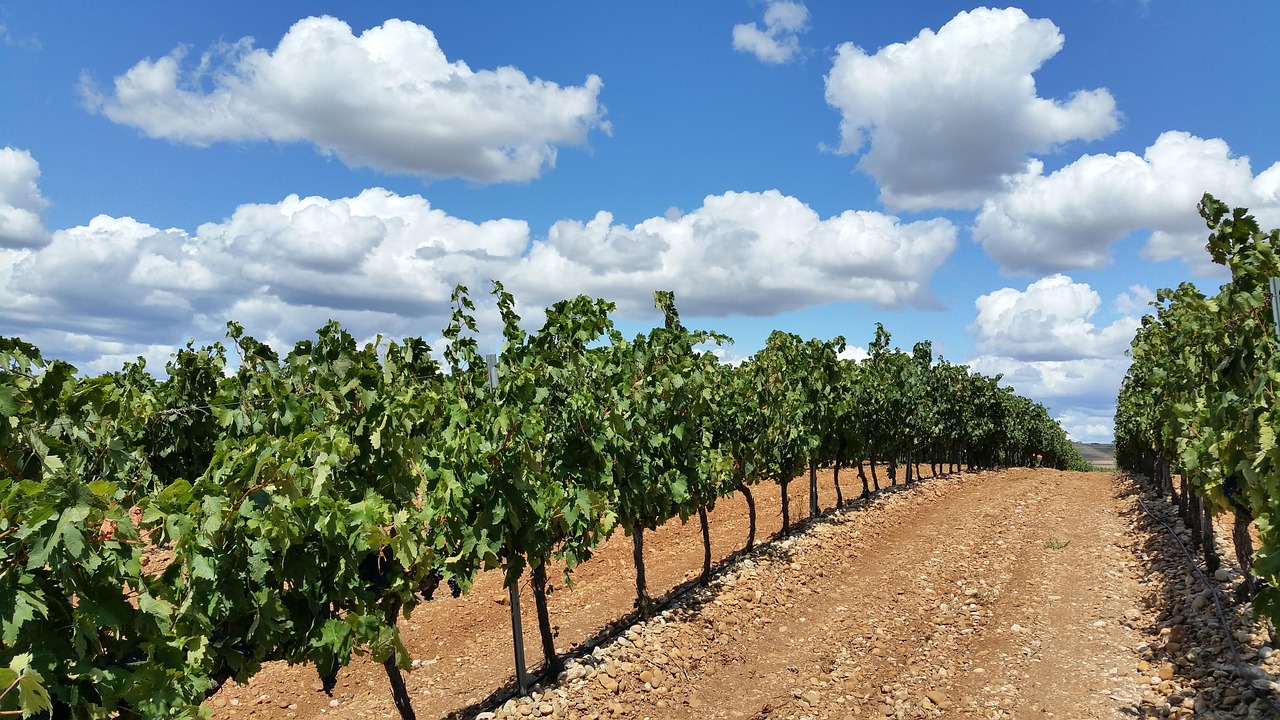 La Rioja spain