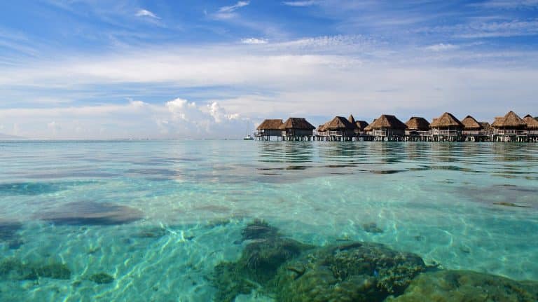 luxury vacation with swimming with sharks