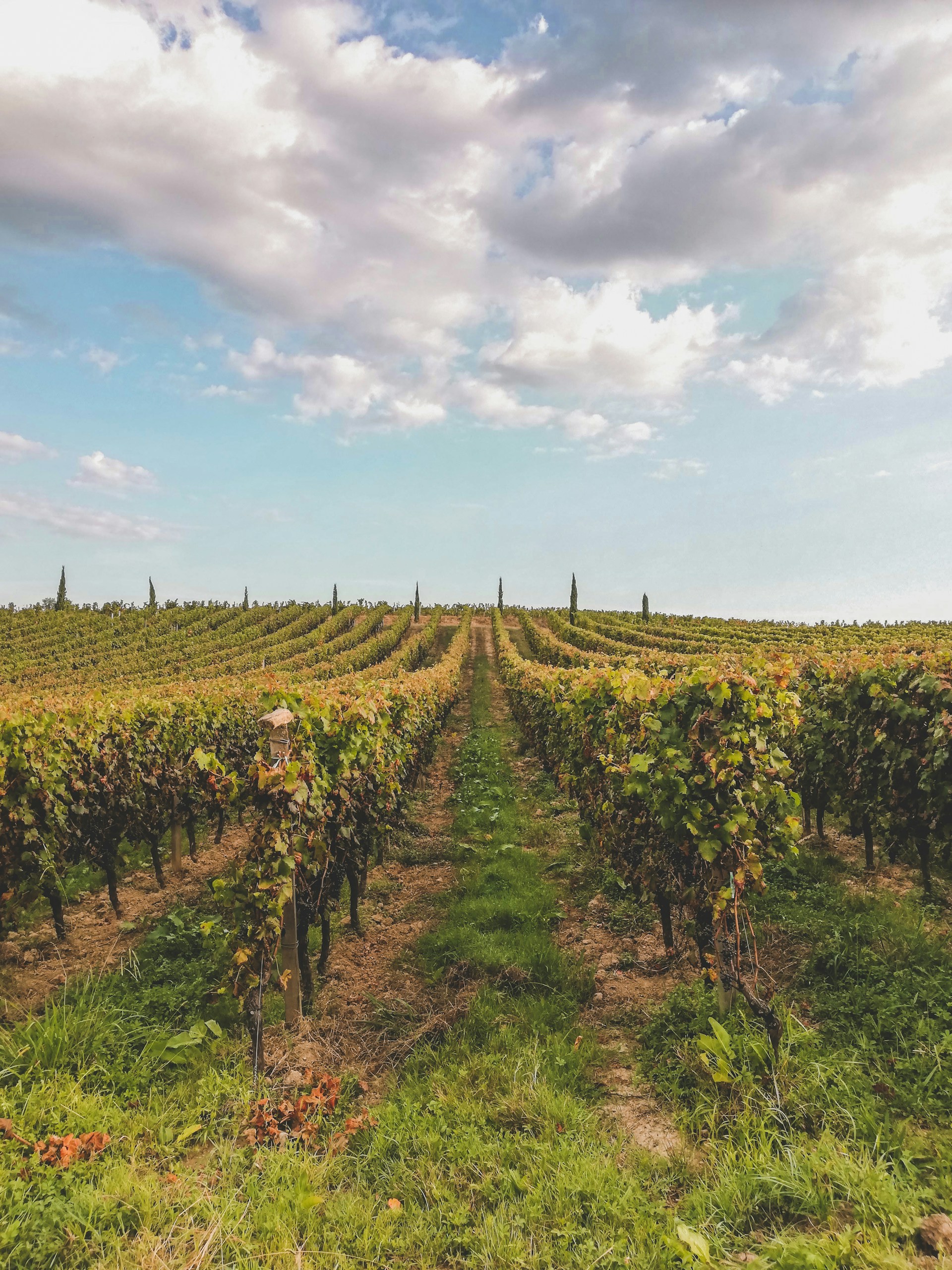 wine travel to Bordeaux