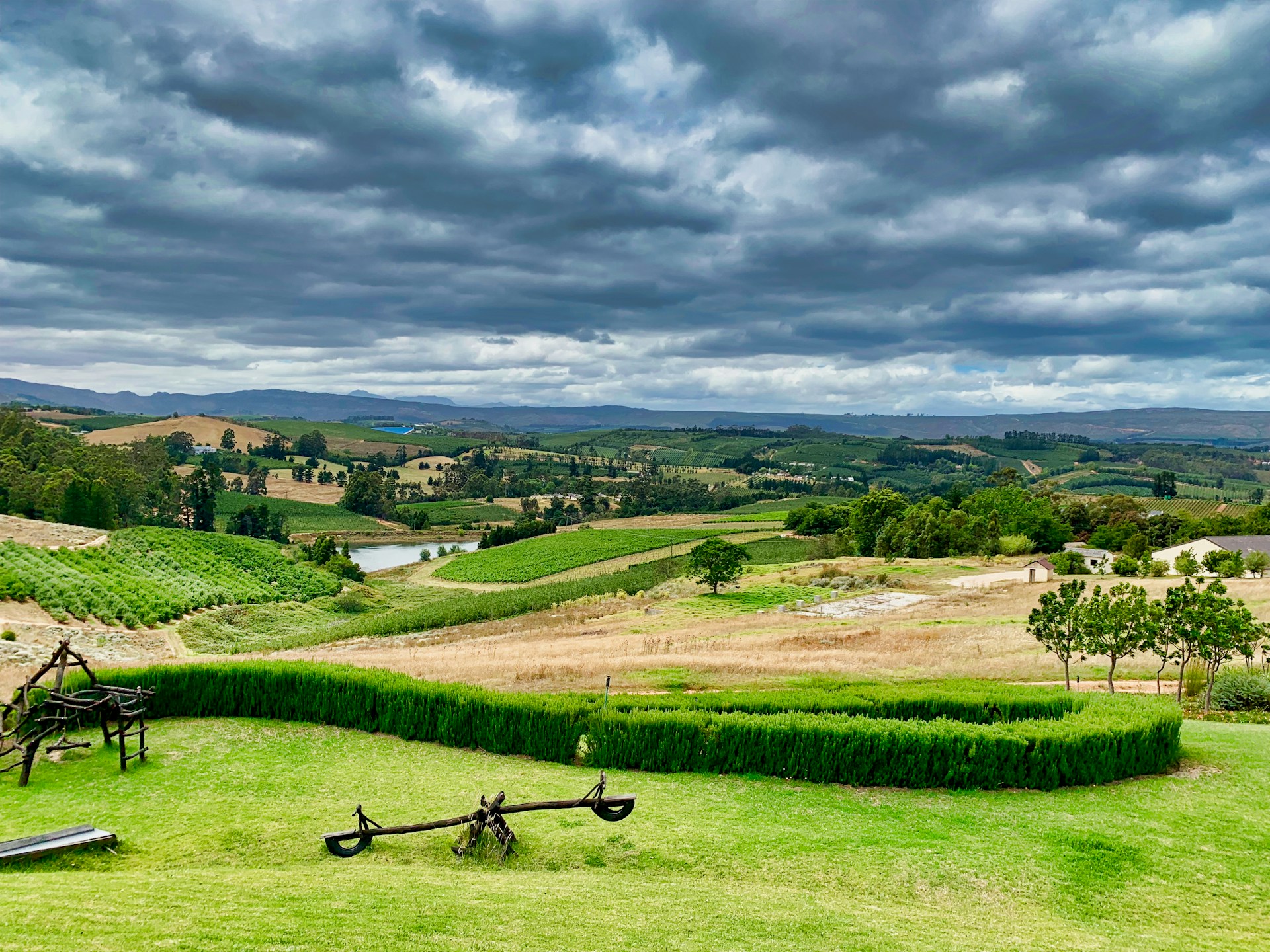 Cape Winelands wine travel