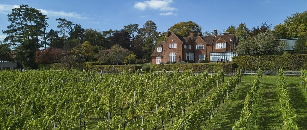 Hampshire vineyard travel