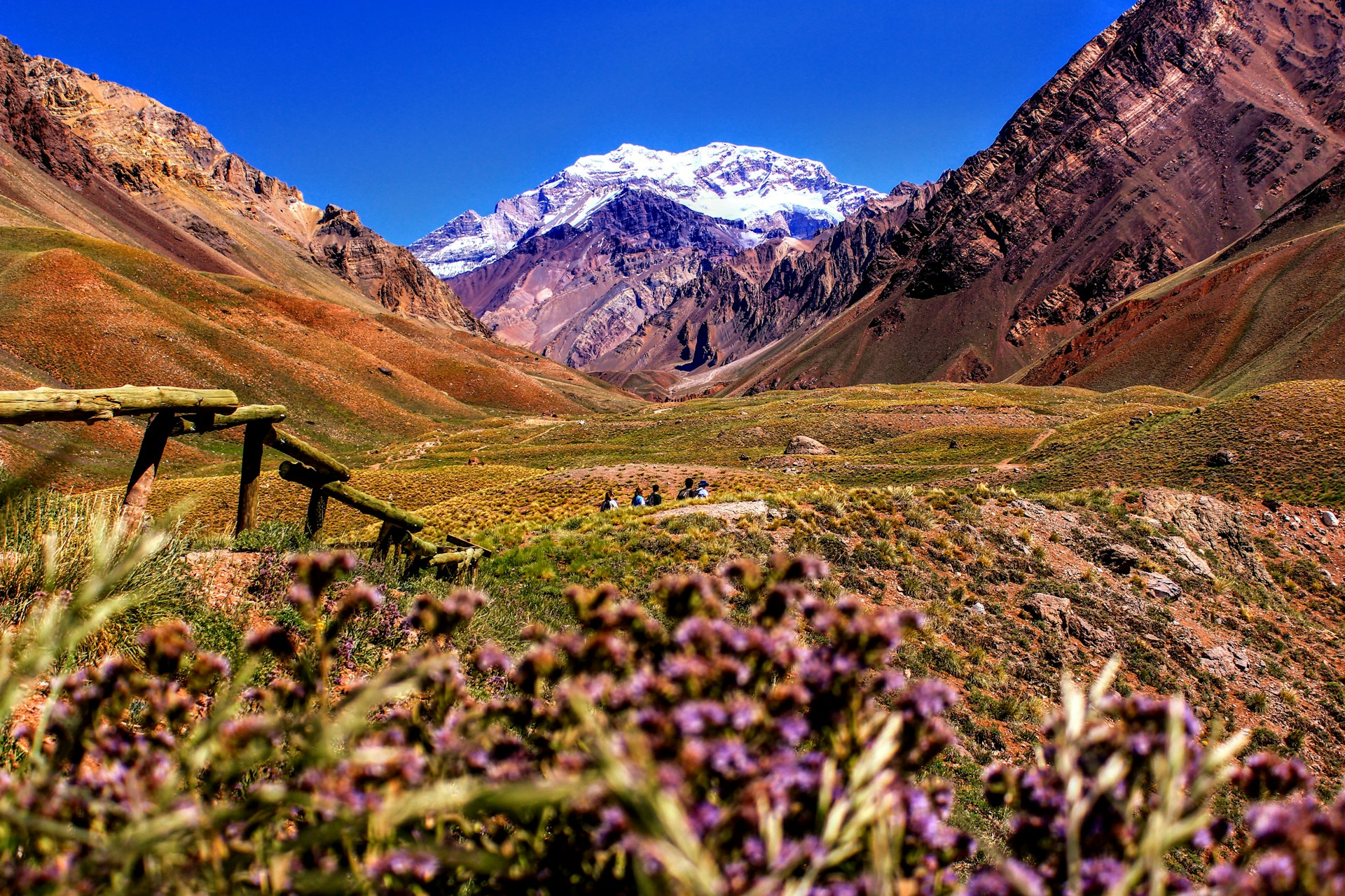 Mendoza travel wine