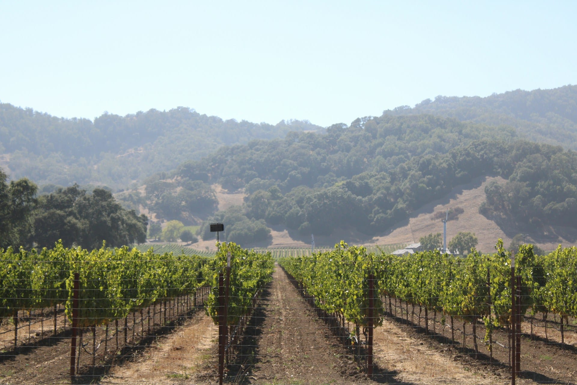 vacation Napa Valley