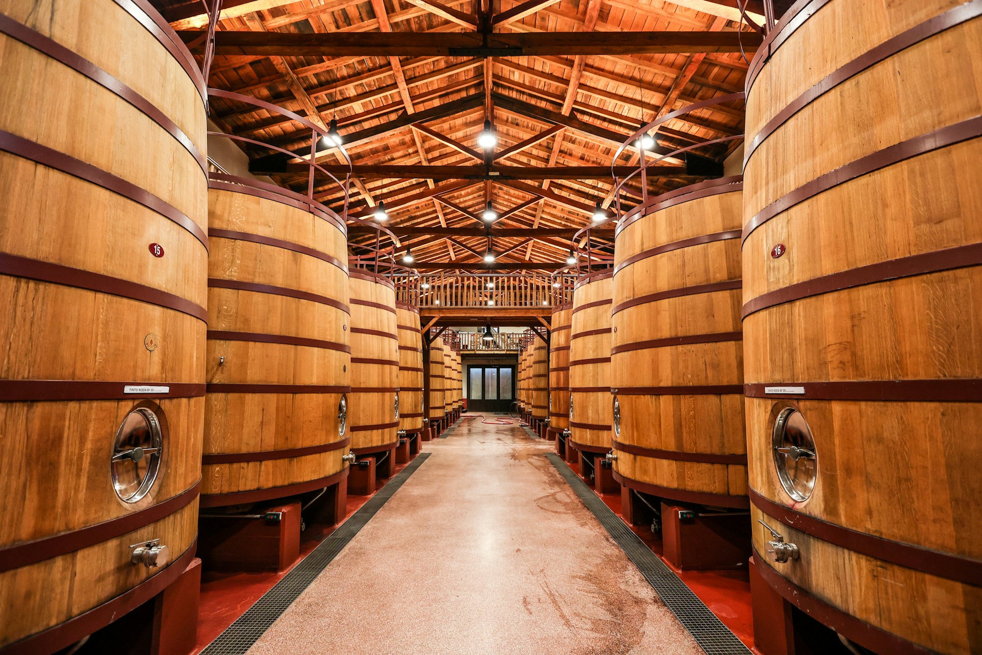 Rioja wine