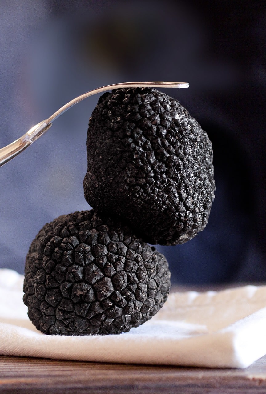 Truffle hunting Italy