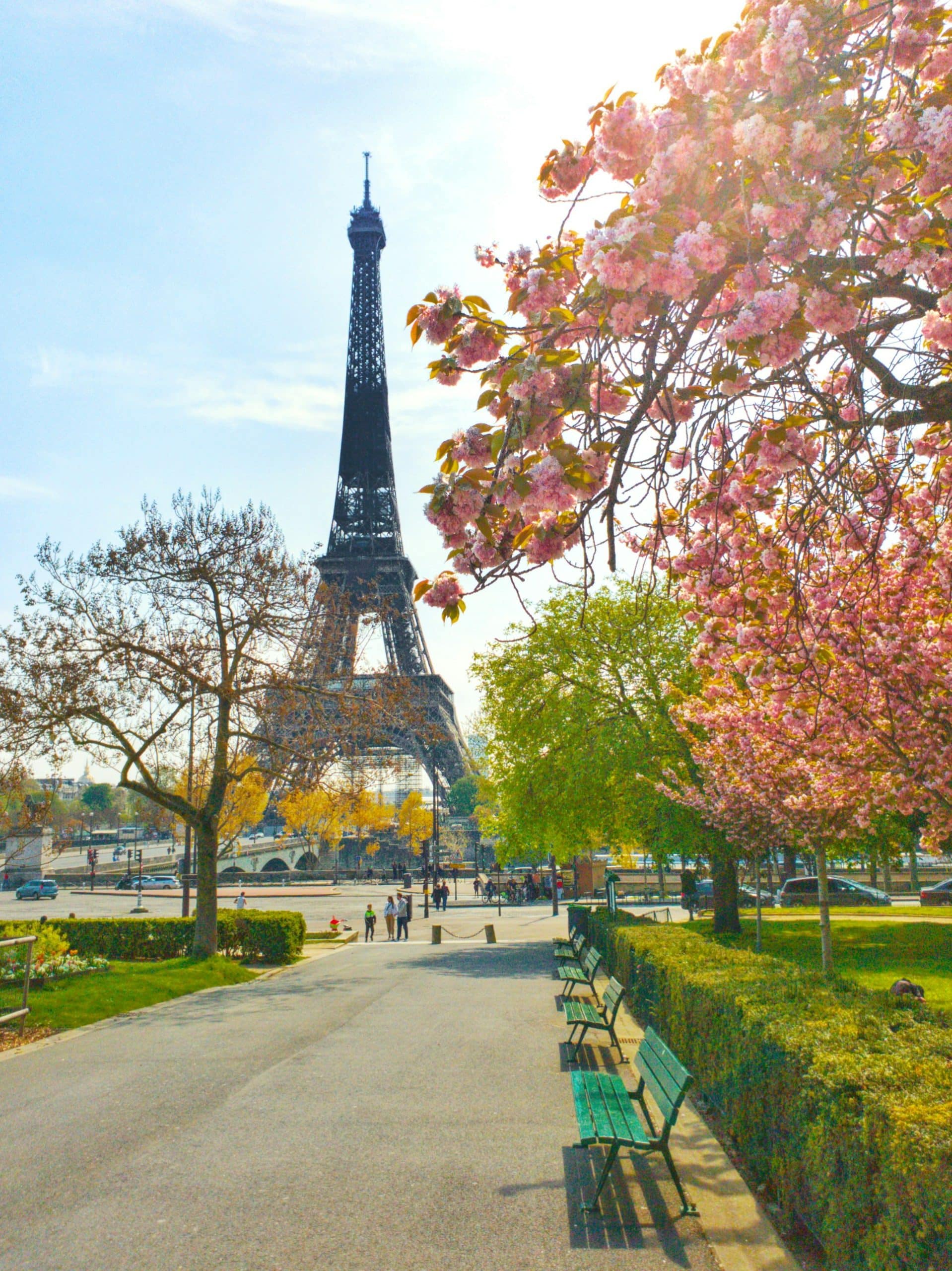 food at eiffel tower