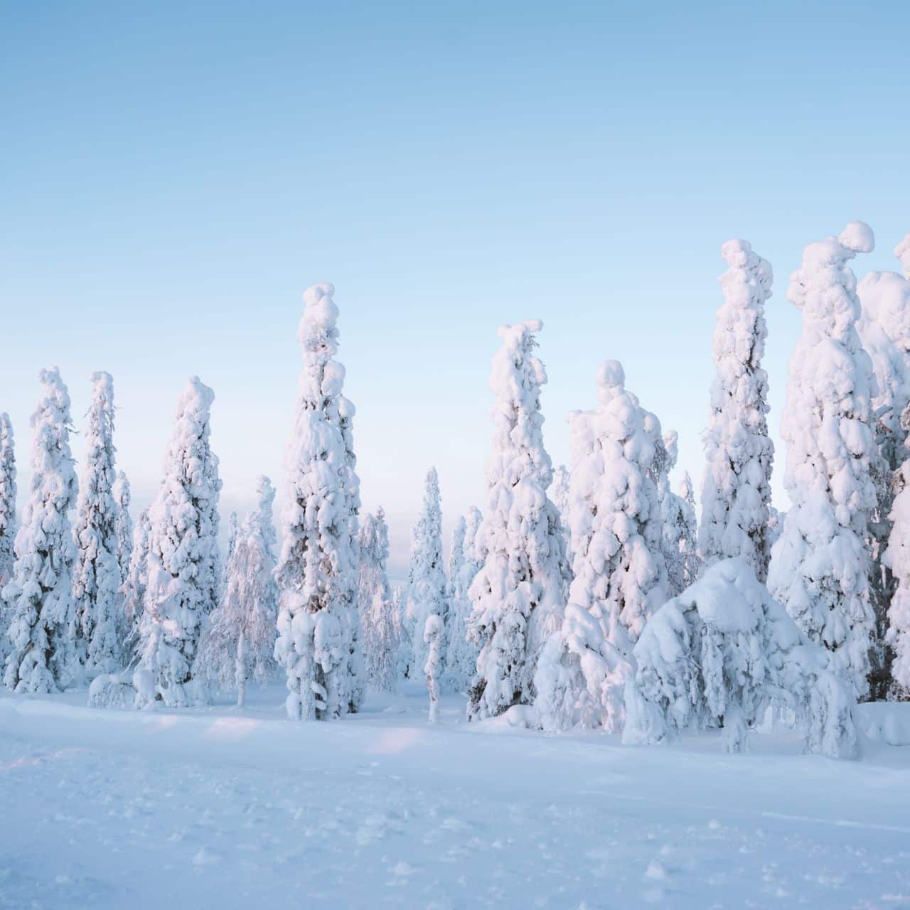 winter vacation in Sweden